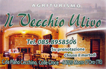 Il Vecchio Ulivo